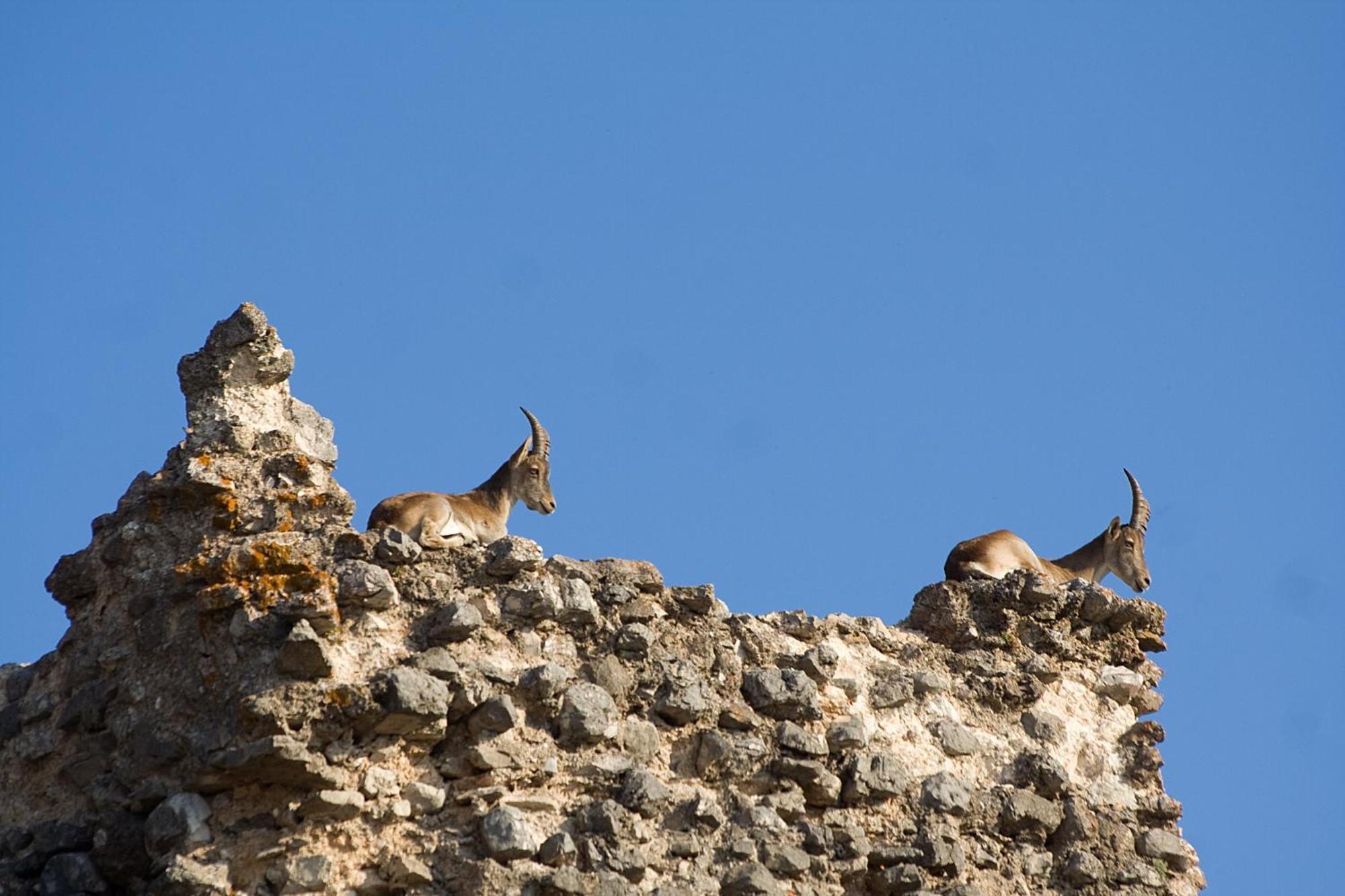 Los Huertos De Segura เซกูรา เดลา เซียร์รา ภายนอก รูปภาพ