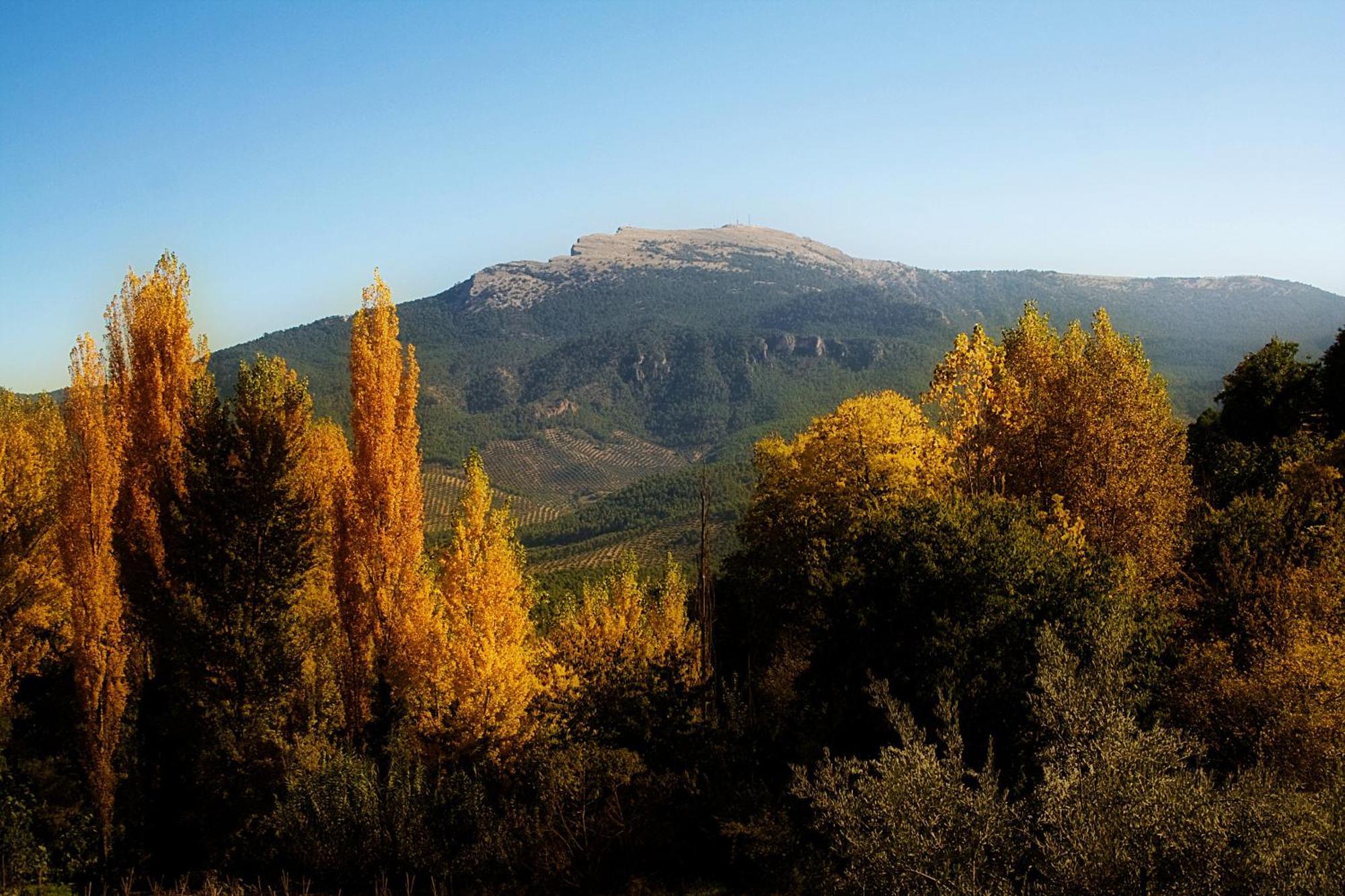 Los Huertos De Segura เซกูรา เดลา เซียร์รา ภายนอก รูปภาพ